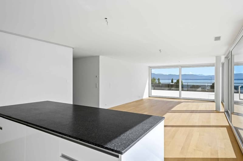 Magnifique attique neuf de 5.5 pièces Rooftop exclusif à 360 (5)