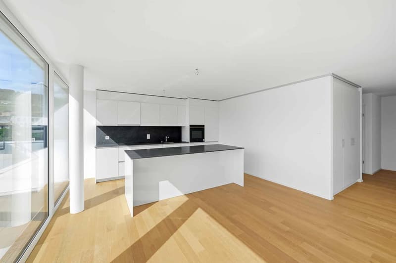 Magnifique attique neuf de 5.5 pièces Rooftop exclusif à 360 (6)