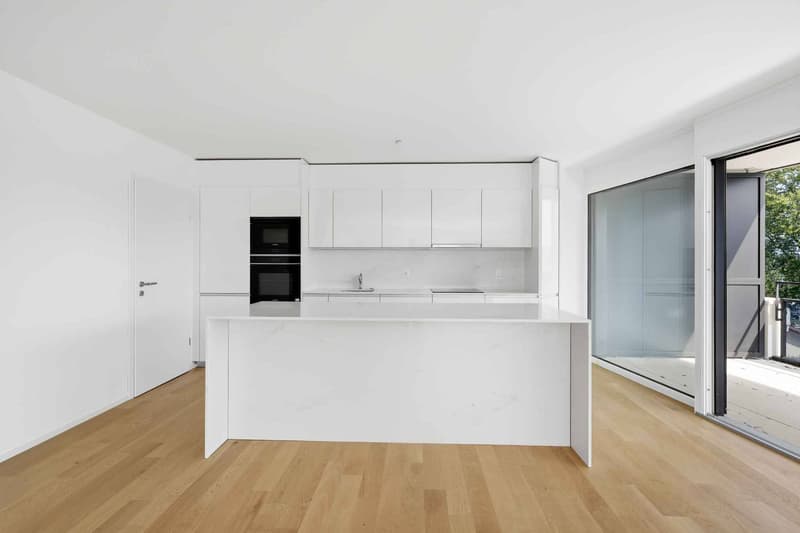 Appartement d'exception face au lac 5.5 pièces avec spacieuse terrasse (4)