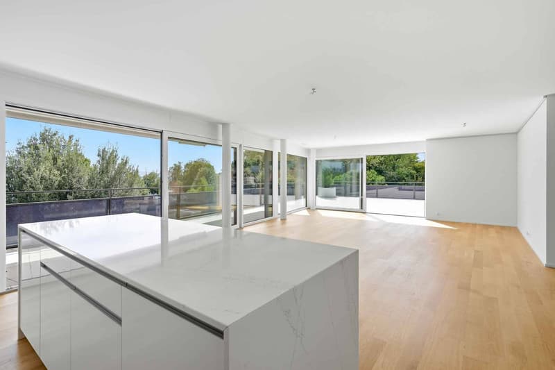 Appartement d'exception face au lac 5.5 pièces avec spacieuse terrasse (2)