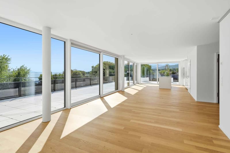 Magnifique attique neuf de 5.5 pièces Rooftop exclusif à 360 (7)