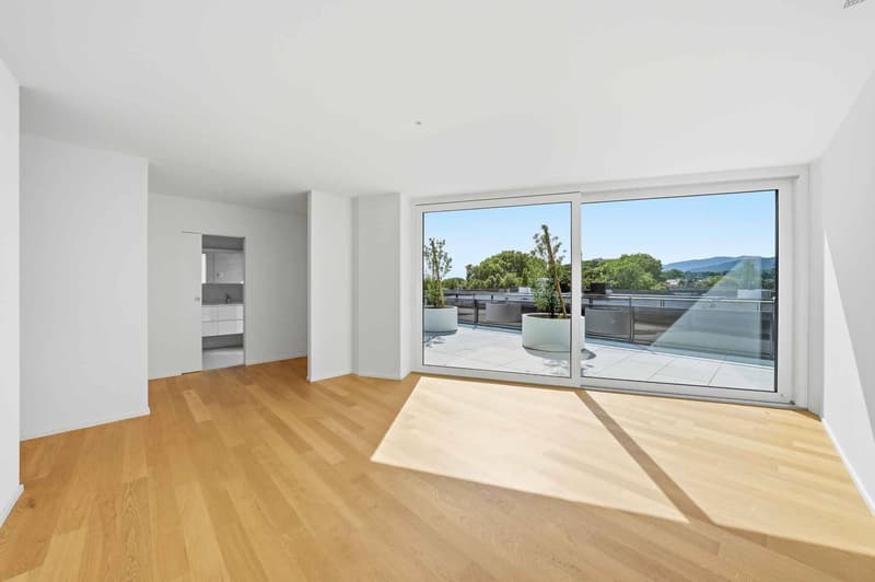 Magnifique attique neuf de 5.5 pièces Rooftop exclusif à 360 (11)
