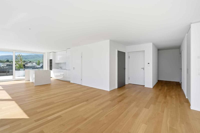 Magnifique attique neuf de 5.5 pièces Rooftop exclusif à 360 (10)