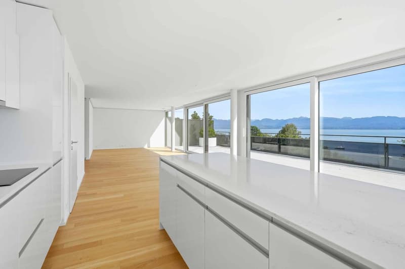 Magnifique attique neuf de 5.5 pièces Rooftop exclusif à 360 (8)