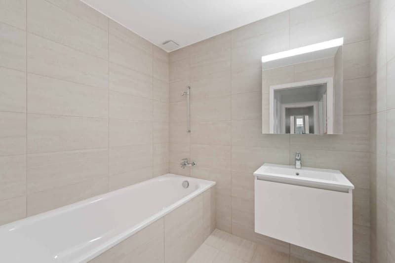 Magnifique attique neuf de 4.5 pièces Rooftop exclusif (3)
