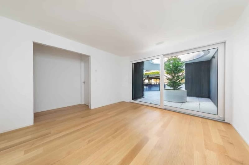 Magnifique attique neuf de 4.5 pièces Rooftop exclusif (4)