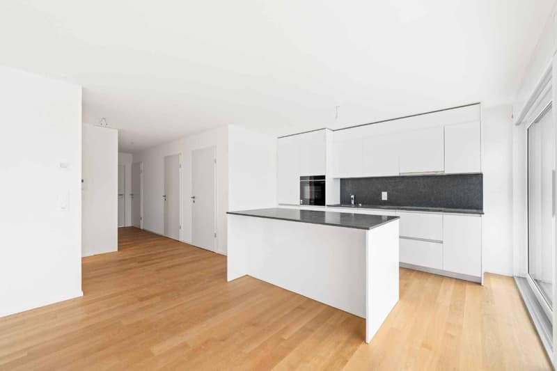 Magnifique attique neuf de 4.5 pièces Rooftop exclusif (2)