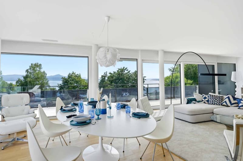 Magnifique appartement neuf de 5.5 pièces terrasse exclusive à 360 (4)