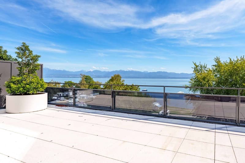 Magnifique appartement neuf de 5.5 pièces terrasse exclusive à 360 (3)