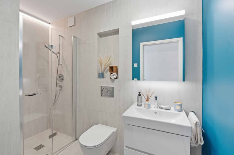 Magnifique appartement neuf de 5.5 pièces terrasse exclusive à 360 (8)