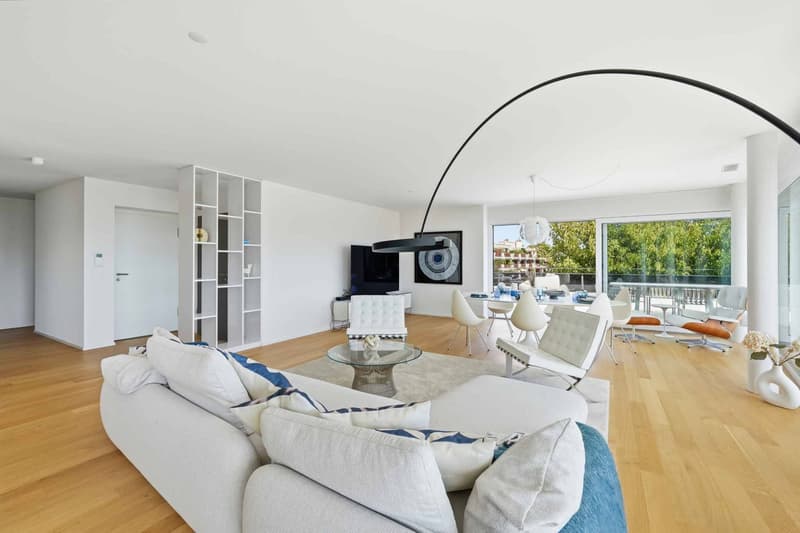 Magnifique appartement neuf de 5.5 pièces terrasse exclusive à 360 (5)