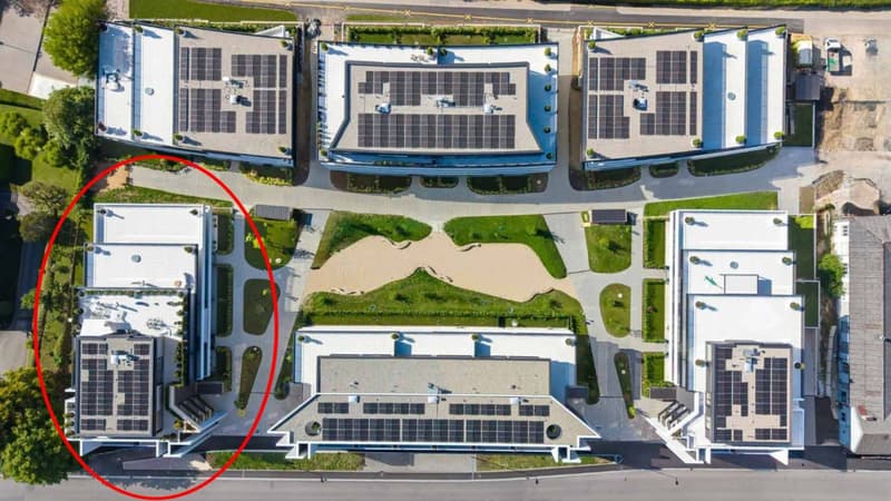 Appartement den 2,5 pièces neuf avec terrasse et jardin (4)