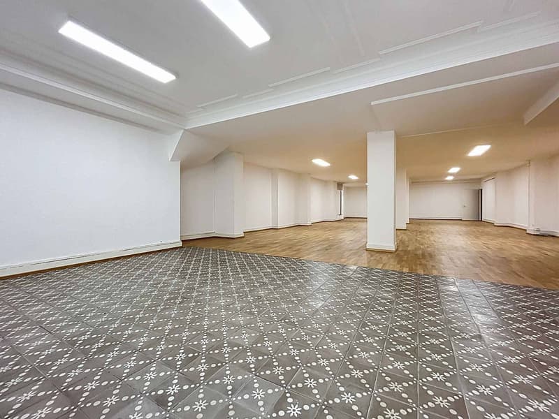 Große modulare Fläche mitten im Stadtzentrum - Ideal für spezialisierte Aktivitäten - Hôtel-de-Ville 2 (12)
