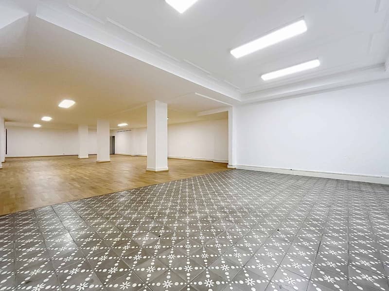 Große modulare Fläche mitten im Stadtzentrum - Ideal für spezialisierte Aktivitäten - Hôtel-de-Ville 2 (11)