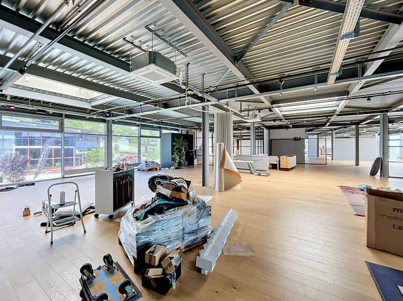 Ungefähr 765m2 für Ihr zukünftiges Unternehmen - Industrielle 11 (6)