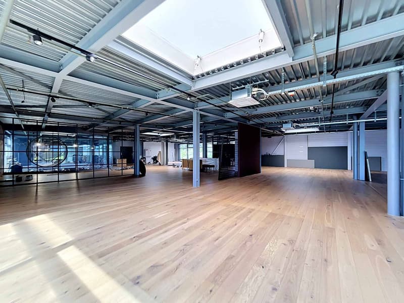 Ungefähr 765m2 für Ihr zukünftiges Unternehmen - Industrielle 11 (1)