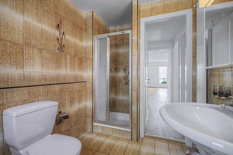 Erhabenes 4.5 Zimmer helles Apartment - Grandvaux 18B (10)