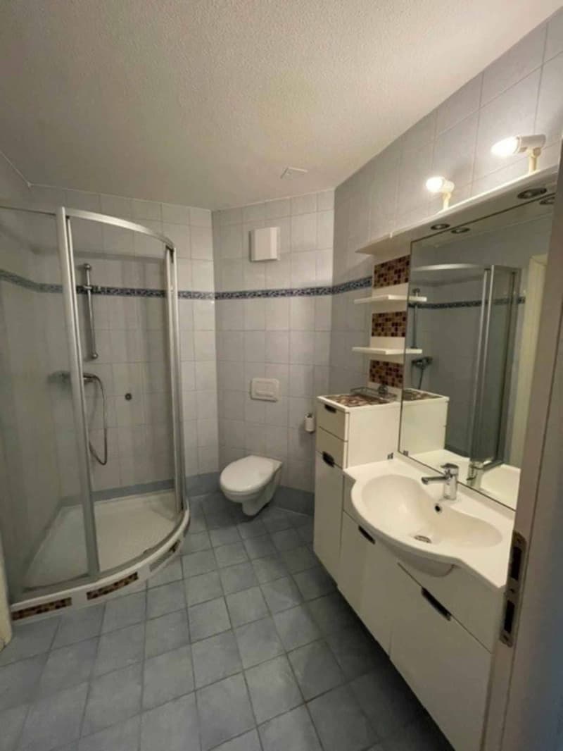 4,5 Zimmer im Erdgeschoss mit Terrasse - Cabinet 3 (7)