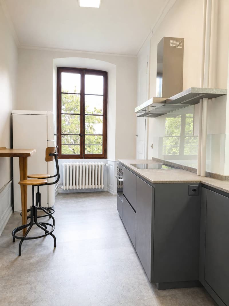 Magnificent 3.5-room furnished apartment with parking space - Grande-Place 21 (3)