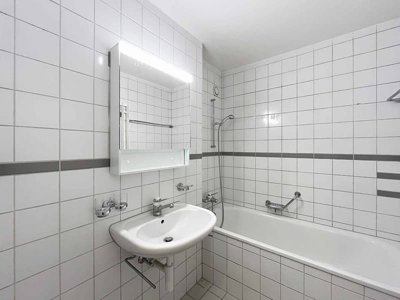 Appartement de 3 pièces rénové - Praz-Routoz 1A (8)