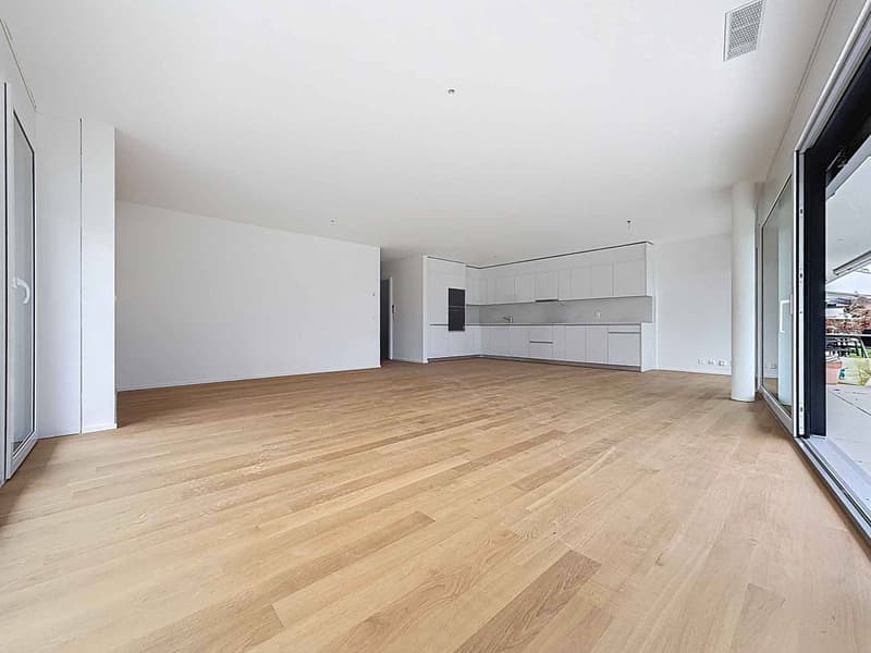 Appartamento nuovo di 5.5 locali con terrazza coperta e giardino (4)