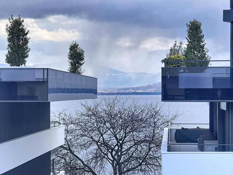 Attico nuovo di 4.5 locali con terrazza sul tetto (7)