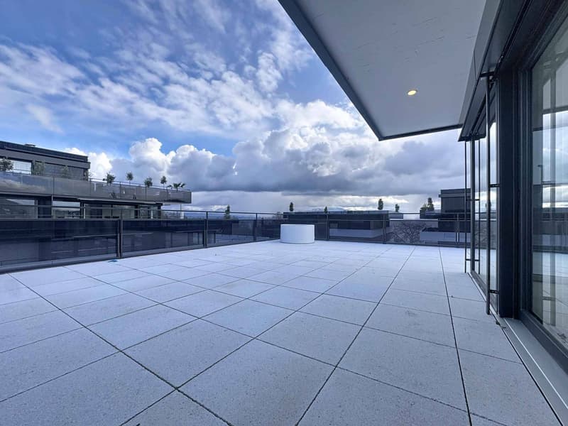 Attico nuovo di 4.5 locali con terrazza sul tetto (9)