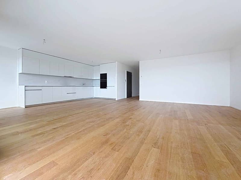 Lussuoso appartamento di 4.5 locali con balcone coperto (3)