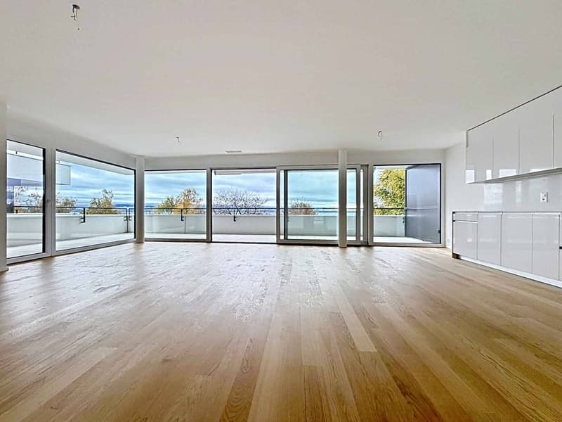 Lussuoso appartamento di 4.5 locali con balcone coperto (4)