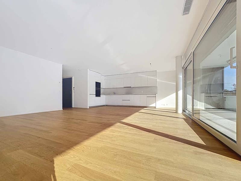 Lussuoso appartamento di 4.5 locali con balcone, nuovo (3)