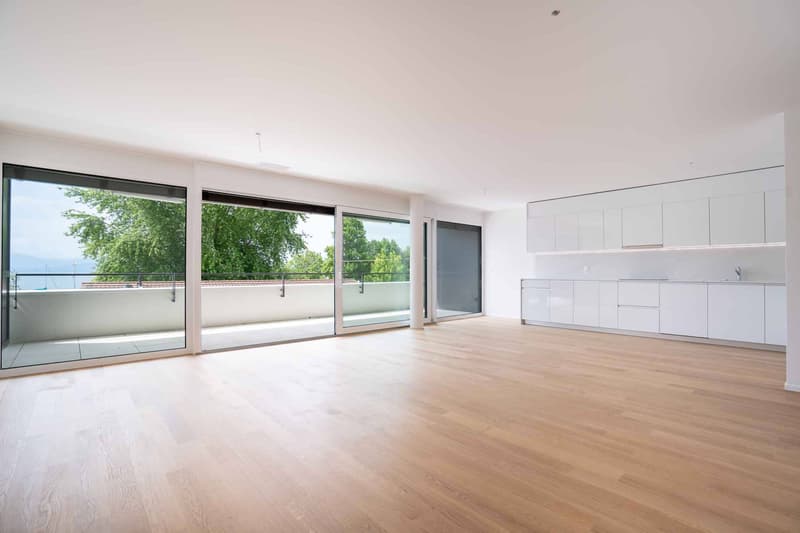 Lussuoso appartamento di 4.5 locali con balcone coperto di 76m2 (3)