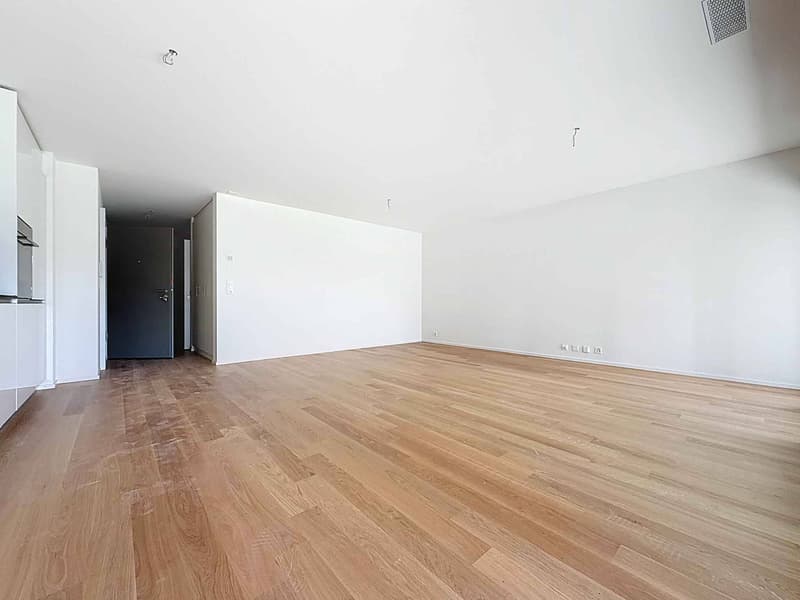 Appartamento nuovo di 3.5 locali con terrazze e giardini (4)