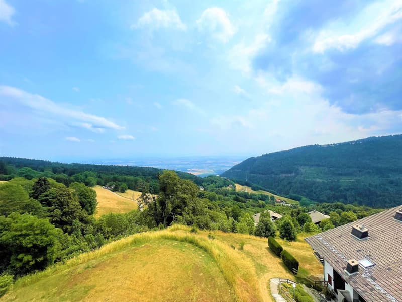 3.5-room apartment, 63m2, duplex in the attic with balconies and breathtaking view (6)