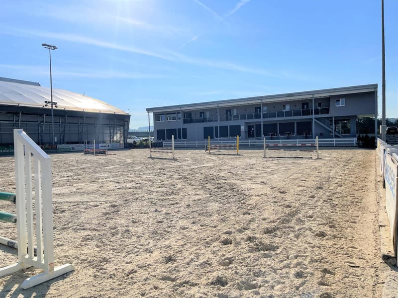 Magnificent equestrian center with various facets! (5)