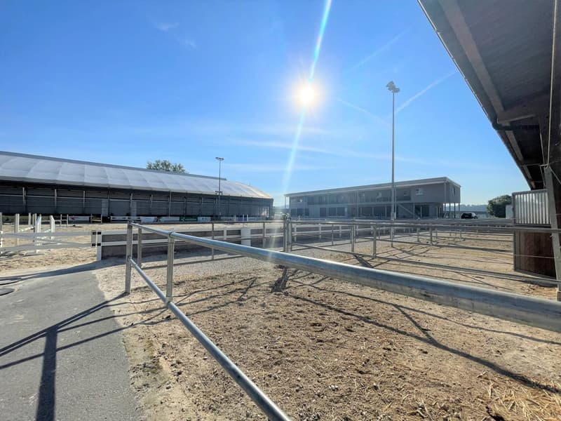 Magnificent equestrian center with various facets! (6)