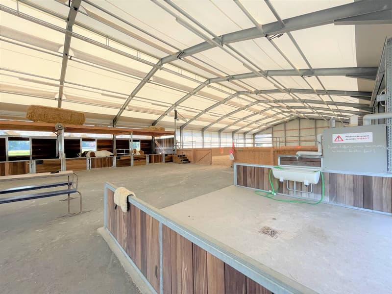 Magnificent equestrian center with various facets! (9)