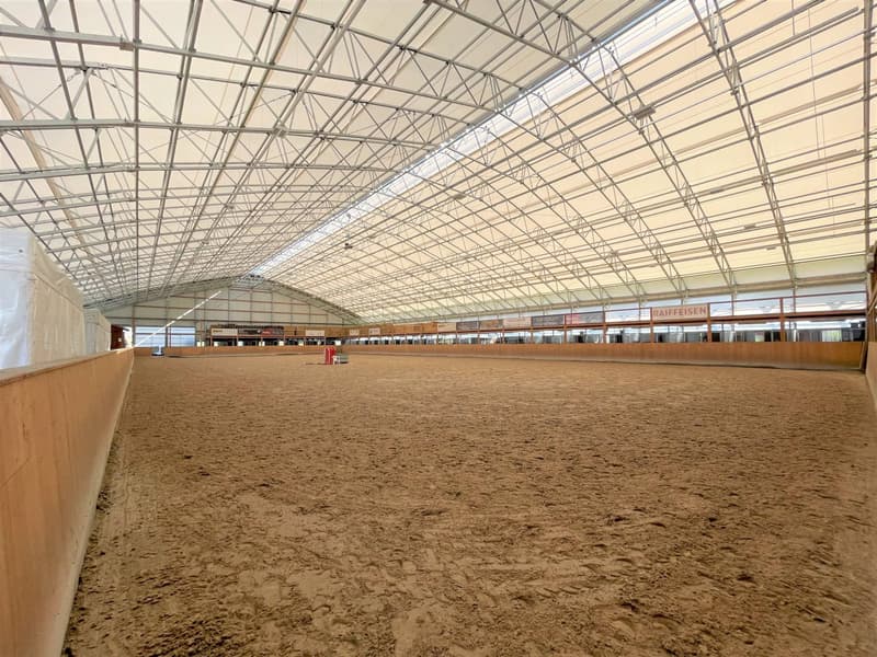 Magnificent equestrian center with various facets! (7)