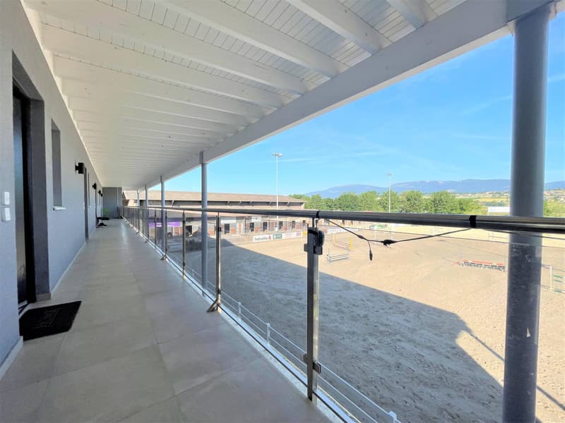 Magnificent equestrian center with various facets! (3)
