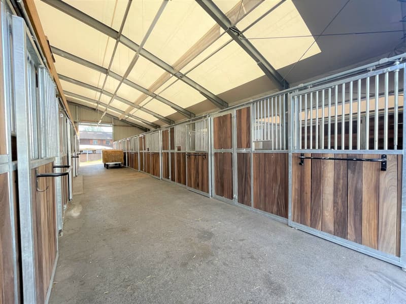 Magnificent equestrian center with various facets! (10)