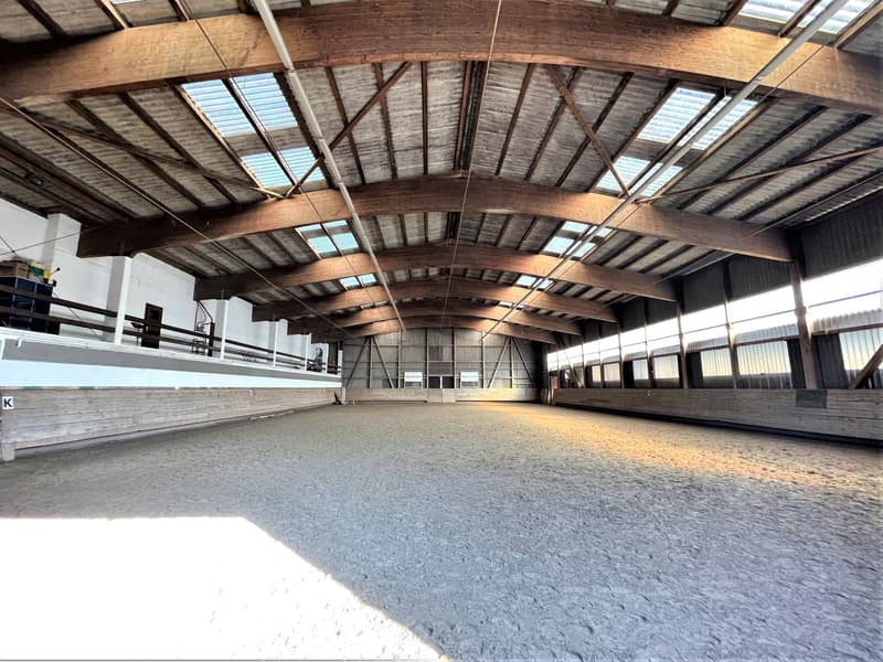Magnificent equestrian center with various facets! (8)