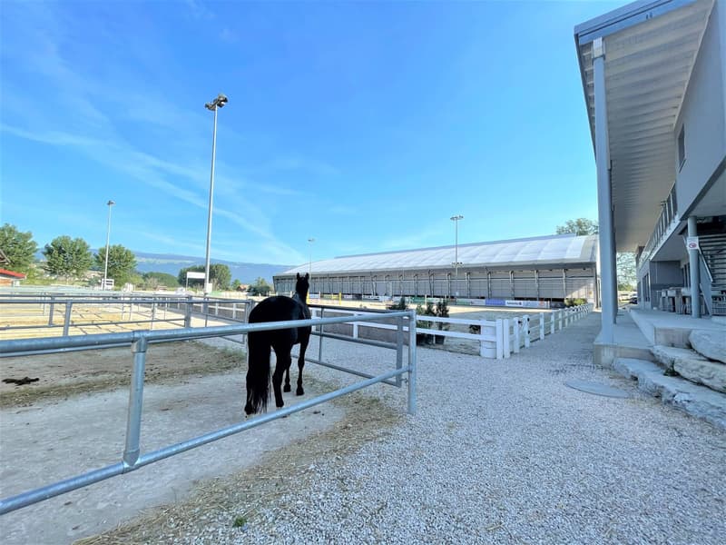 Magnificent equestrian center with various facets! (4)