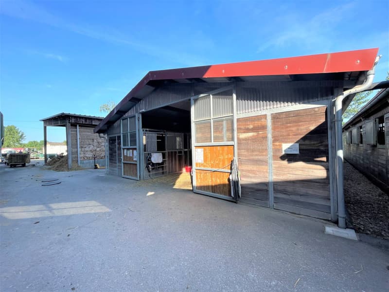 Magnificent equestrian center with various facets! (11)