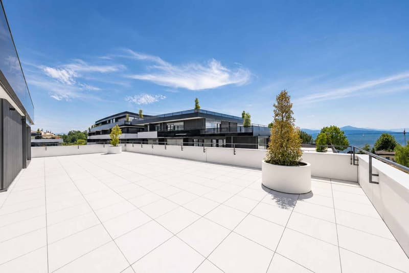 Luxurious 4.5-room apartment with terrace and private elevator (8)
