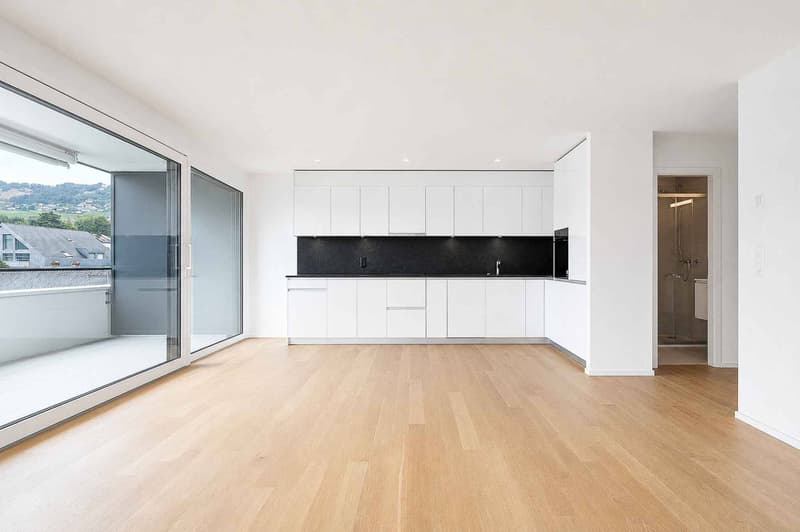 Luxurious 4.5-room apartment with terrace and private elevator (2)