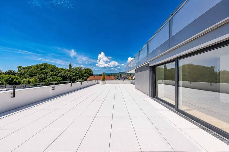 Luxurious 4.5-room apartment with terrace and private elevator (7)