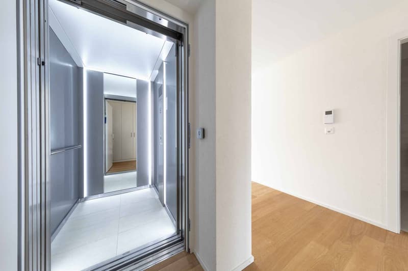 Luxurious 4.5-room apartment with terrace and private elevator (3)