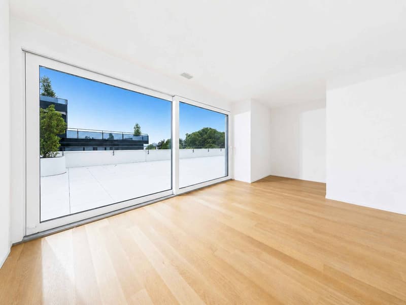 Luxurious 4.5-room apartment with terrace and private elevator (4)
