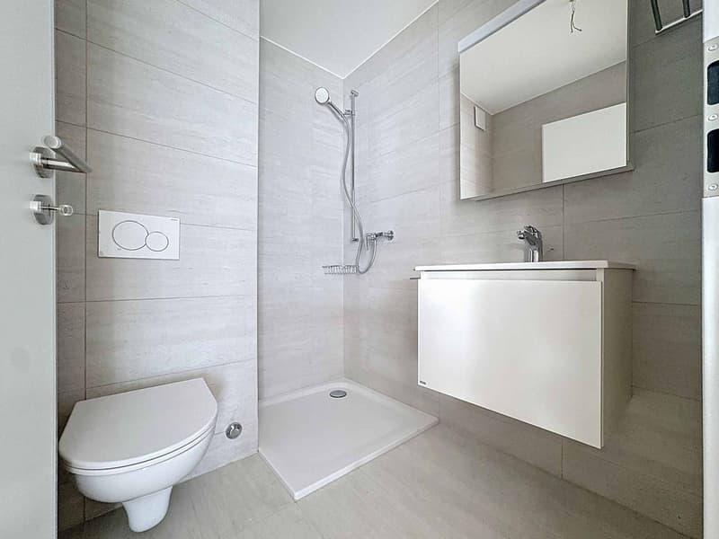 Lussuoso appartamento di 4.5 locali con terrazza e ascensore privato (7)