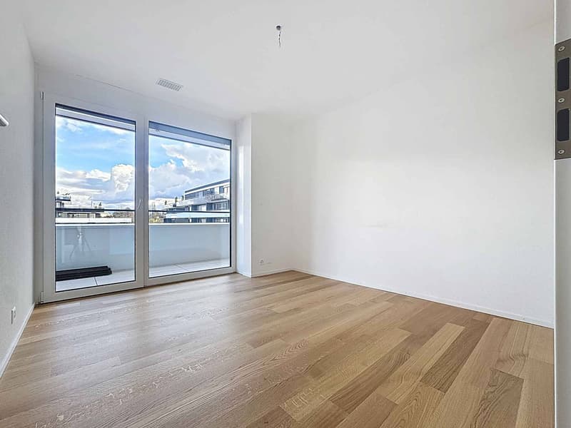 Lussuoso appartamento di 4.5 locali con terrazza e ascensore privato (6)