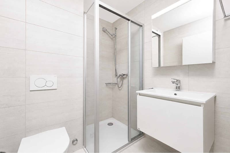 Luxurious 4.5-room apartment with terrace and private elevator (6)
